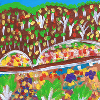 Aboriginal Artwork by Gwenneth Blitner, Bullock Hole, 40x30cm