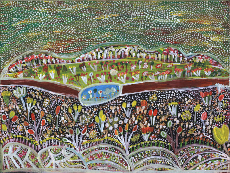 Aboriginal Artwork by Gwenneth Blitner, Wardgujaja Billabong, 60x45cm