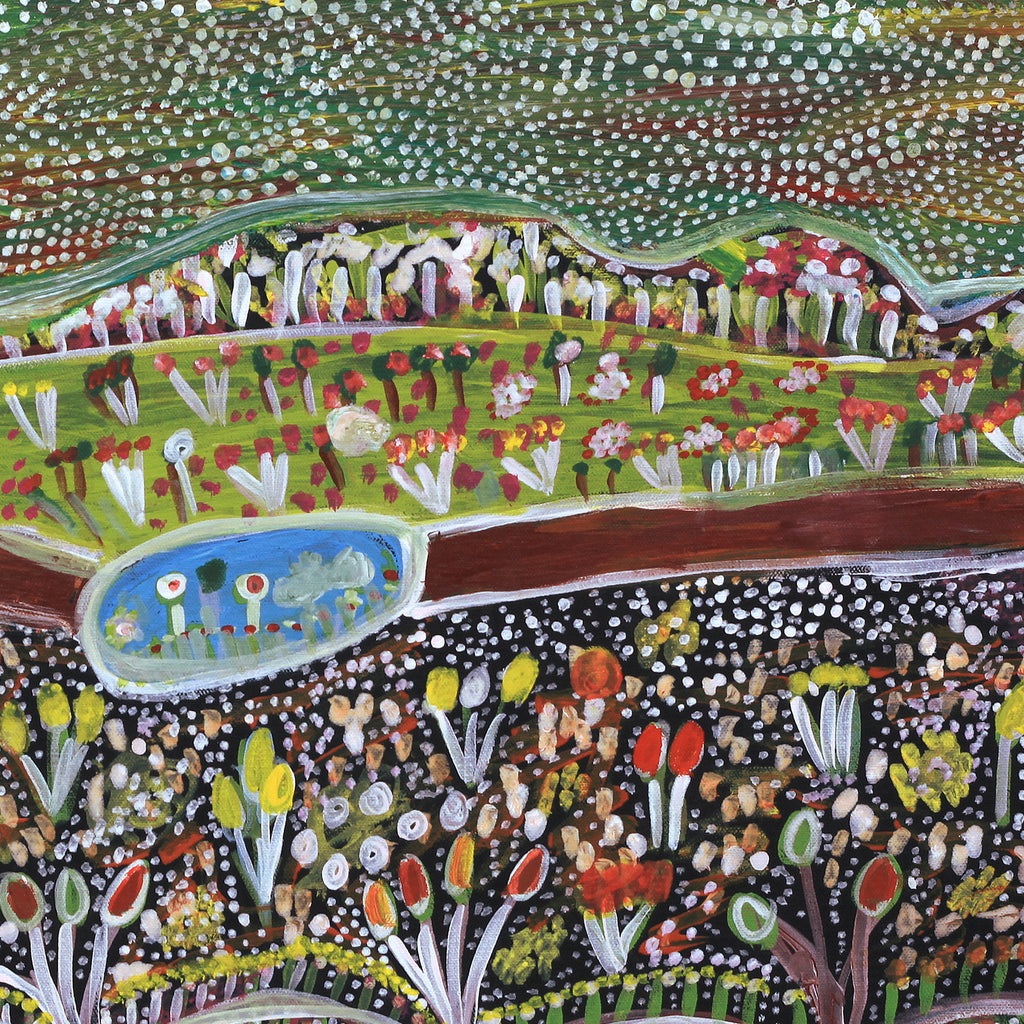 Aboriginal Artwork by Gwenneth Blitner, Wardgujaja Billabong, 60x45cm