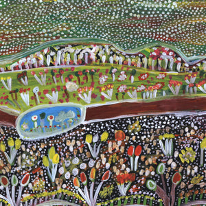 Aboriginal Art by Gwenneth Blitner, Wardgujaja Billabong, 60x45cm - ART ARK®