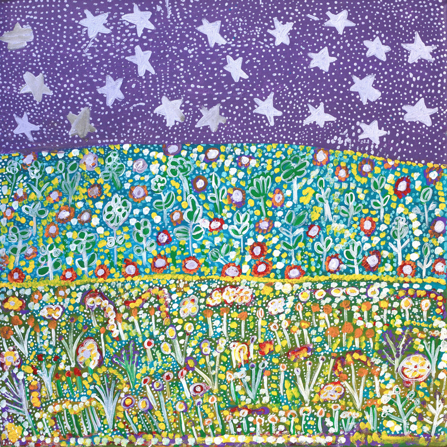 Aboriginal Artwork by Gwenneth Blitner, Nighttime Bullock hole, 60x60cm