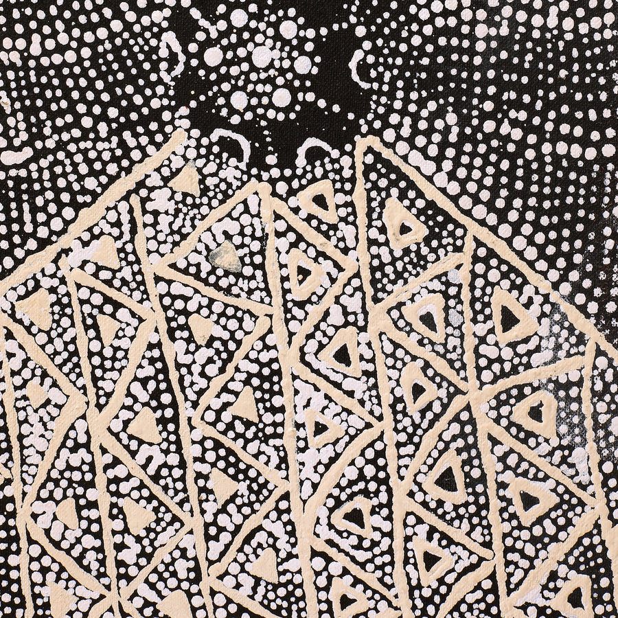 Aboriginal Artwork by Hilda Nakamarra Rogers, Lukarrara Jukurrpa (Desert Fringe-rush Seed Dreaming), 122x30cm