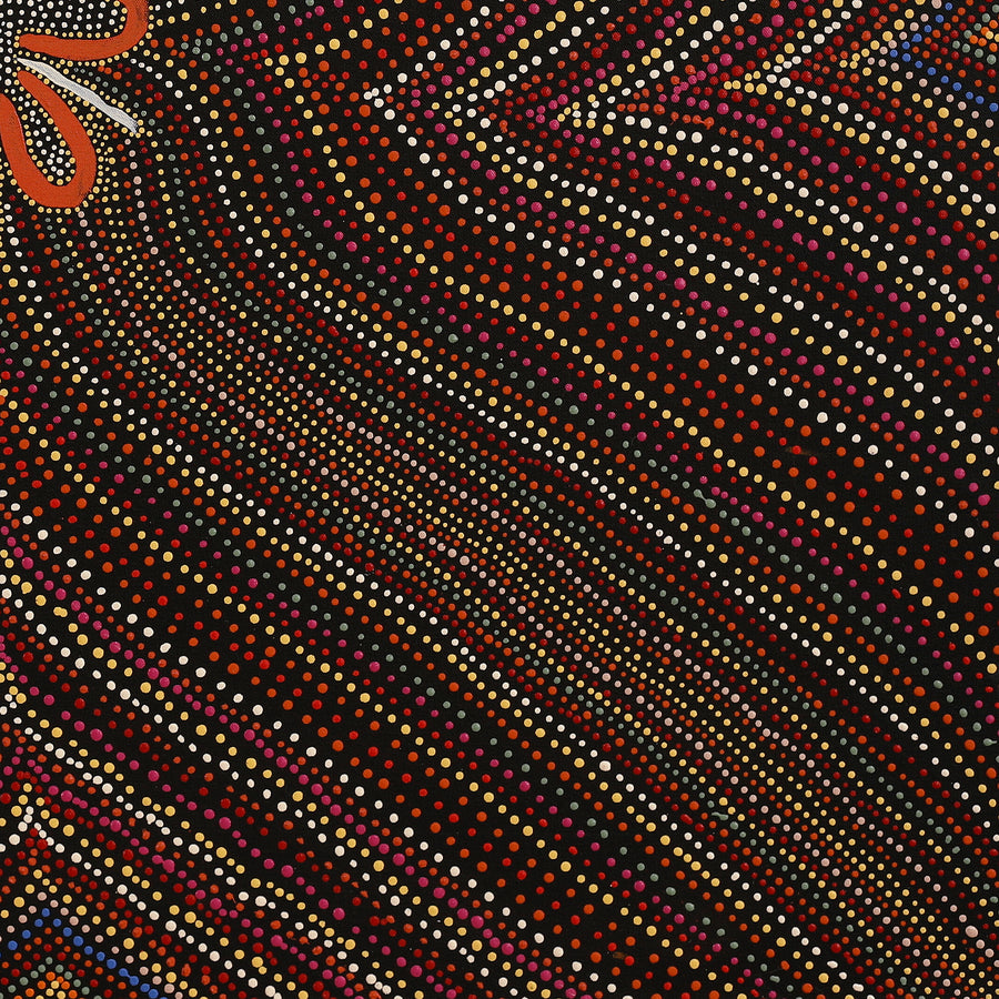 Aboriginal Artwork by Heather Watson, Murray Bore, 91x91cm