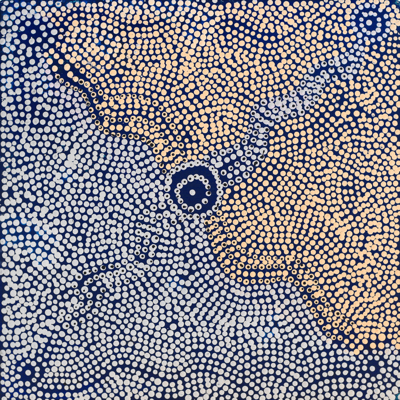 Aboriginal Artwork by Heather Nangala Nanala, Patterns of the Landscape around Nyirrripi, 30x30cm