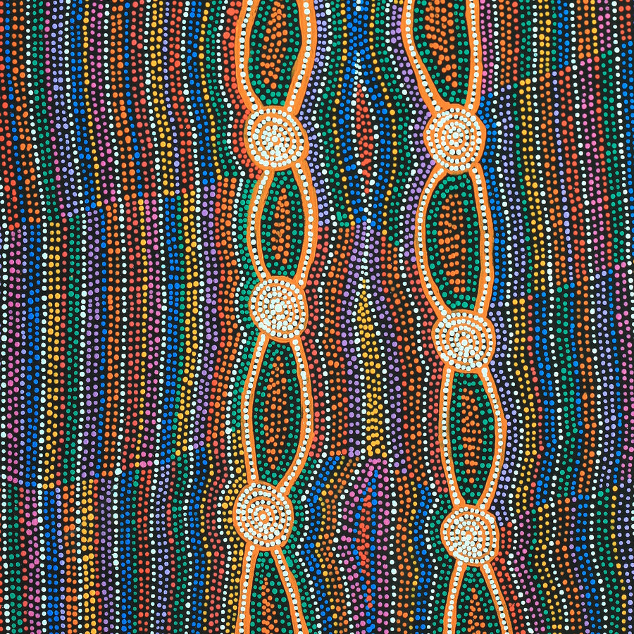 Aboriginal Artwork by Helen Nungarrayi Reed, Mina Mina Dreaming - Ngalyipi, 122x61cm
