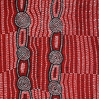Aboriginal Artwork by Helen Nungarrayi Reed, Mina Mina Dreaming - Ngalyipi, 61x46cm