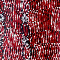 Aboriginal Artwork by Helen Nungarrayi Reed, Mina Mina Dreaming - Ngalyipi, 76x61cm