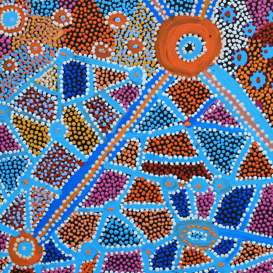 Aboriginal Artwork by Helen Nampijinpa Robertson, Ngapa Jukurrpa (water Dreaming) - Puyurru, 76x61cm