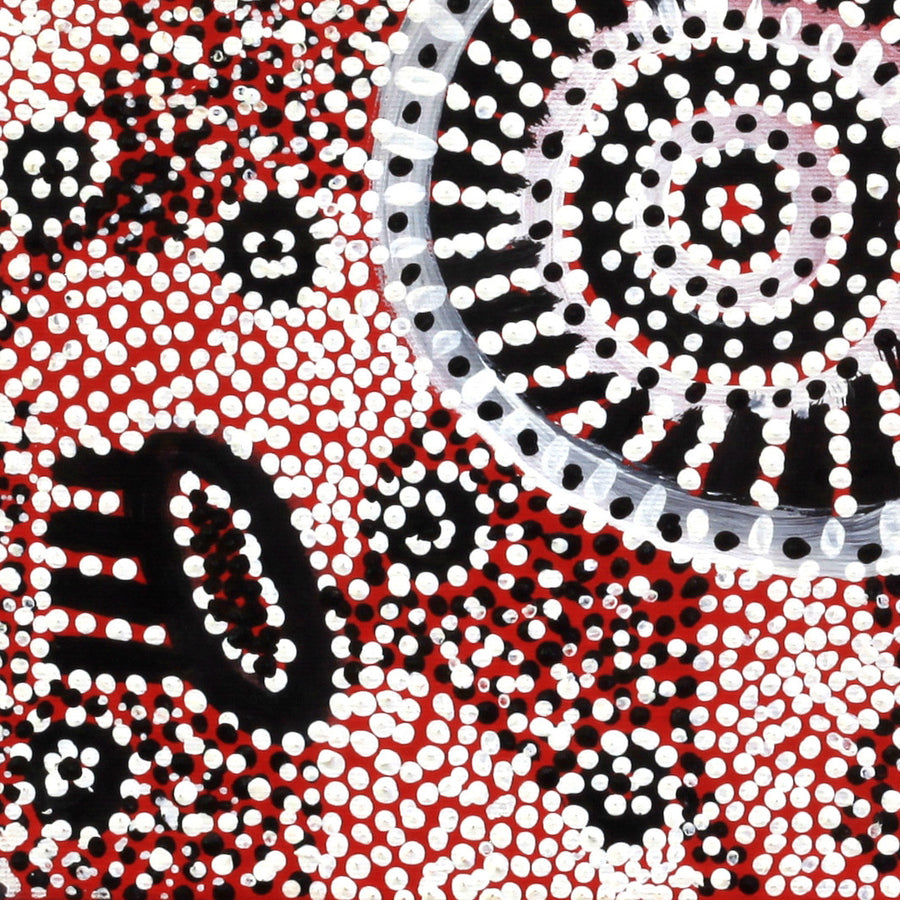 Aboriginal Artwork by Helen Nampijinpa Robertson, Ngapa Jukurrpa - Puyurru, 30x30cm