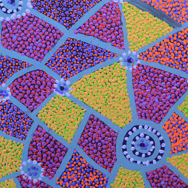 Aboriginal Artwork by Helen Nampijinpa Robertson, Ngapa Jukurrpa - Puyurru, 46x46cm