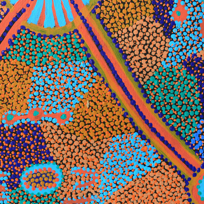 Aboriginal Artwork by Helen Nampijinpa Robertson, Ngapa Jukurrpa (water Dreaming) - Puyurru, 61x46cm