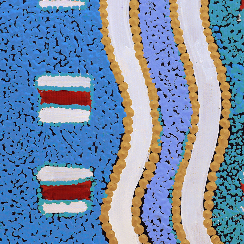 Aboriginal Artwork by Henry Jampijinpa Spencer, Wardapi Jukurrpa (Goanna Dreaming) - Yarripilangu, 30x30cm