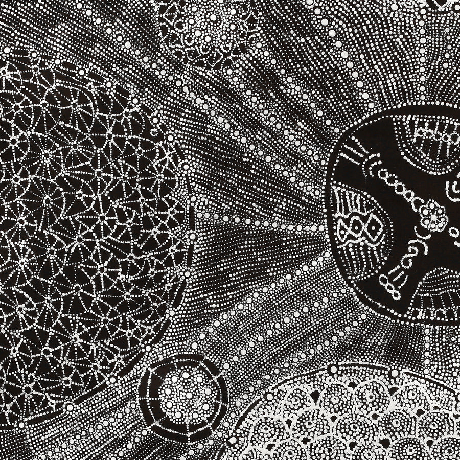 Aboriginal Artwork by Hilda Nakamarra Rogers, Lukarrara Jukurrpa, 107x91cm