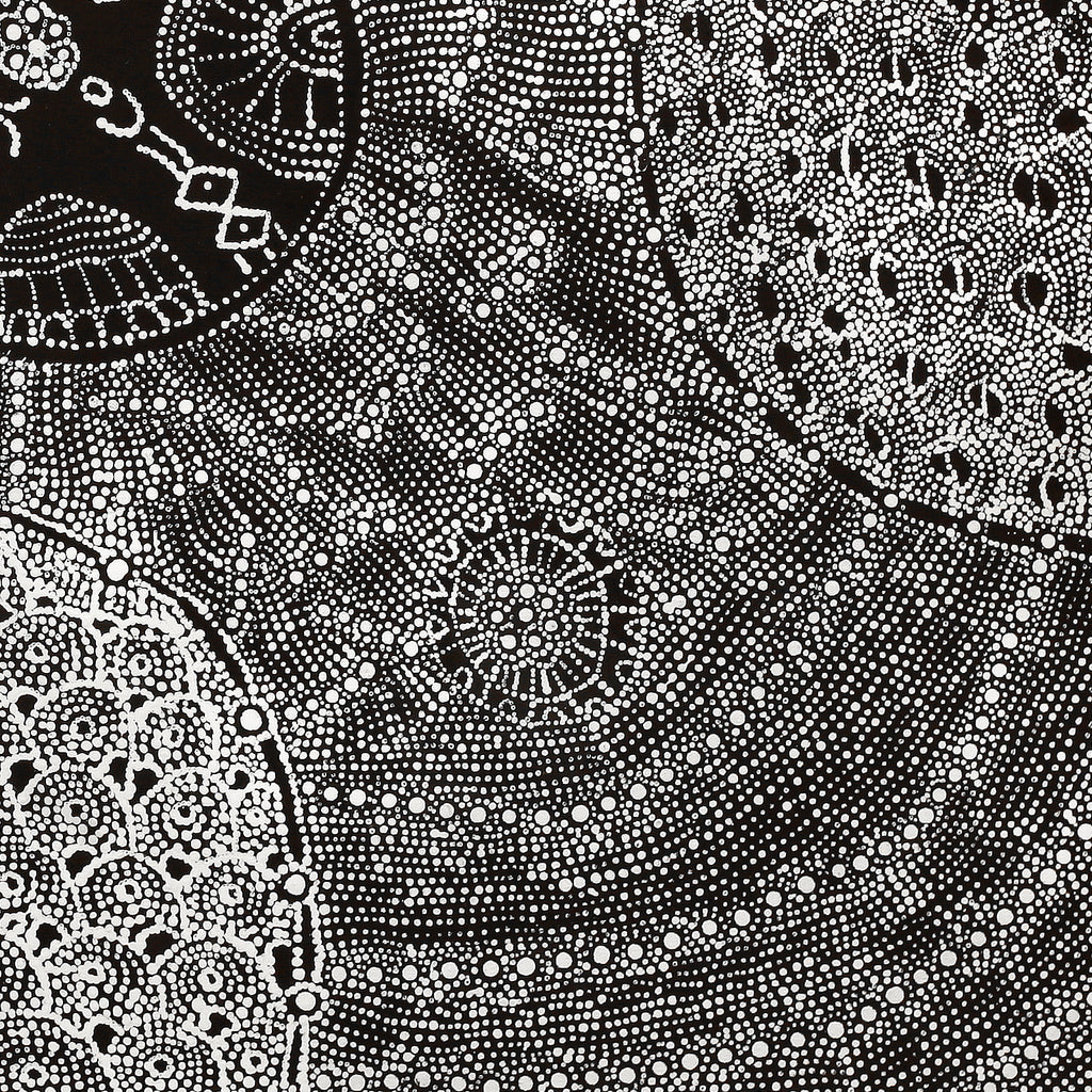 Aboriginal Artwork by Hilda Nakamarra Rogers, Lukarrara Jukurrpa, 107x91cm