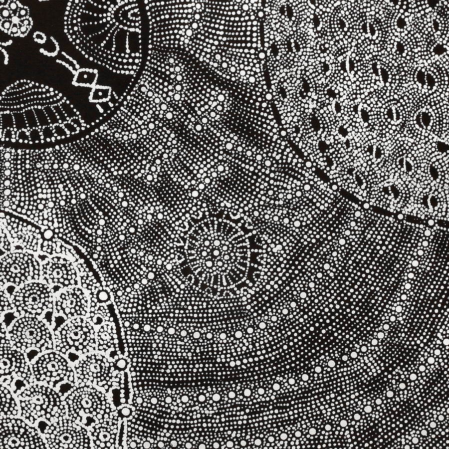 Aboriginal Artwork by Hilda Nakamarra Rogers, Lukarrara Jukurrpa, 107x91cm