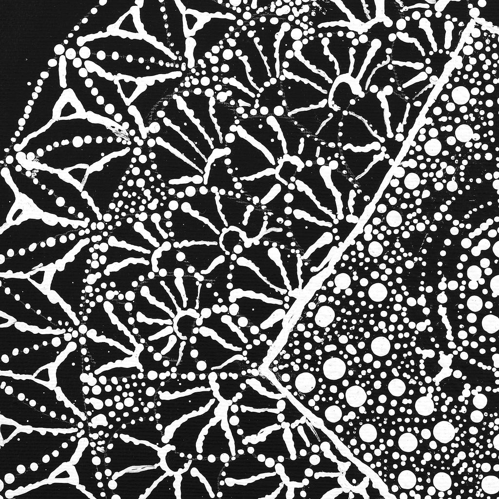 Aboriginal Artwork by Hilda Nakamarra Rogers, Lukarrara Jukurrpa, 30x30cm