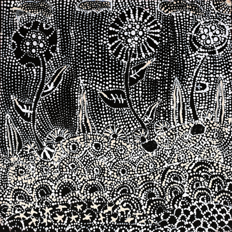 Aboriginal Artwork by Hilda Nakamarra Rogers, Lukarrara Jukurrpa, 30x30cm