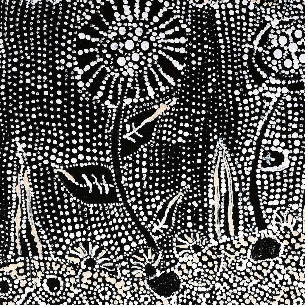 Aboriginal Artwork by Hilda Nakamarra Rogers, Lukarrara Jukurrpa, 30x30cm