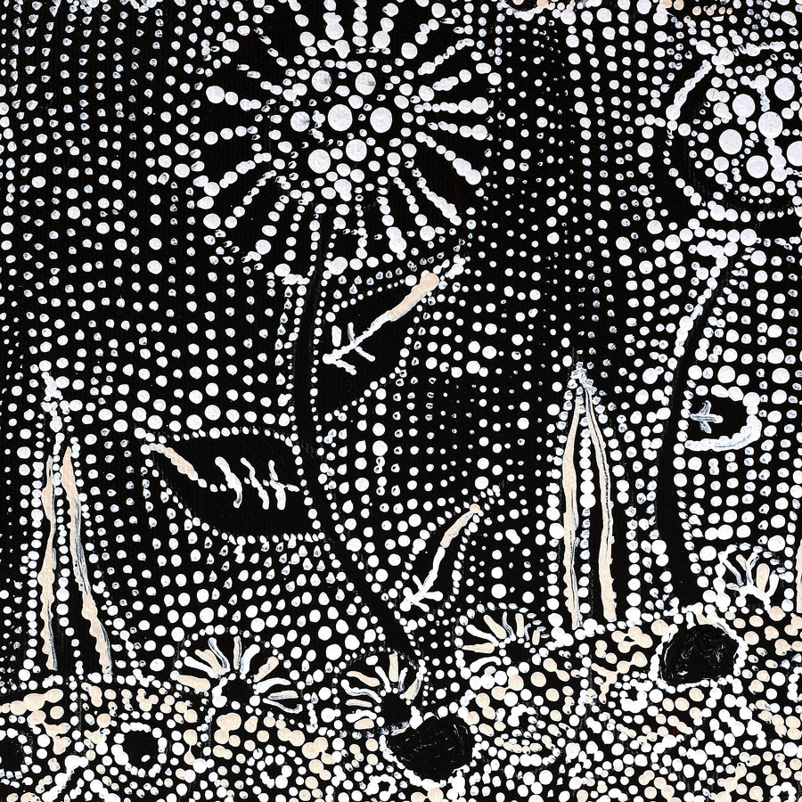 Aboriginal Artwork by Hilda Nakamarra Rogers, Lukarrara Jukurrpa, 30x30cm