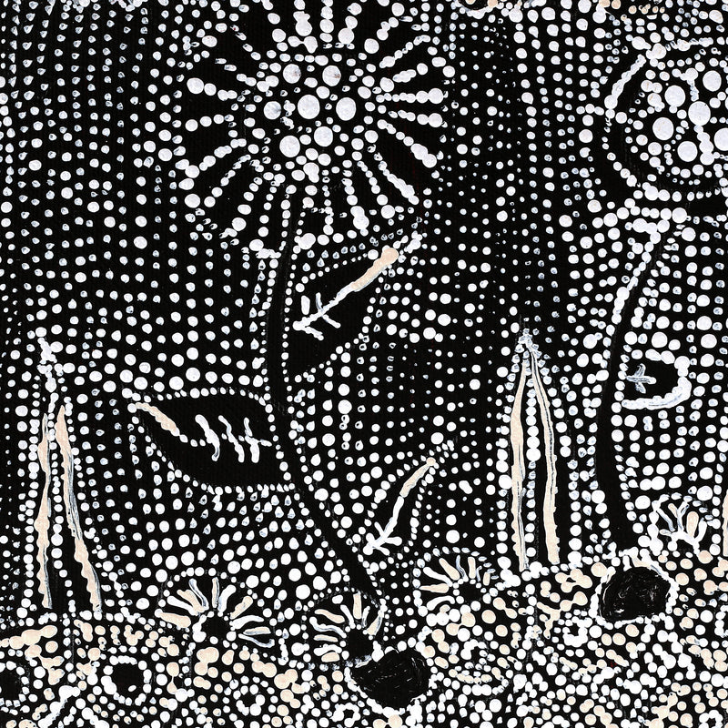 Aboriginal Artwork by Hilda Nakamarra Rogers, Lukarrara Jukurrpa, 30x30cm
