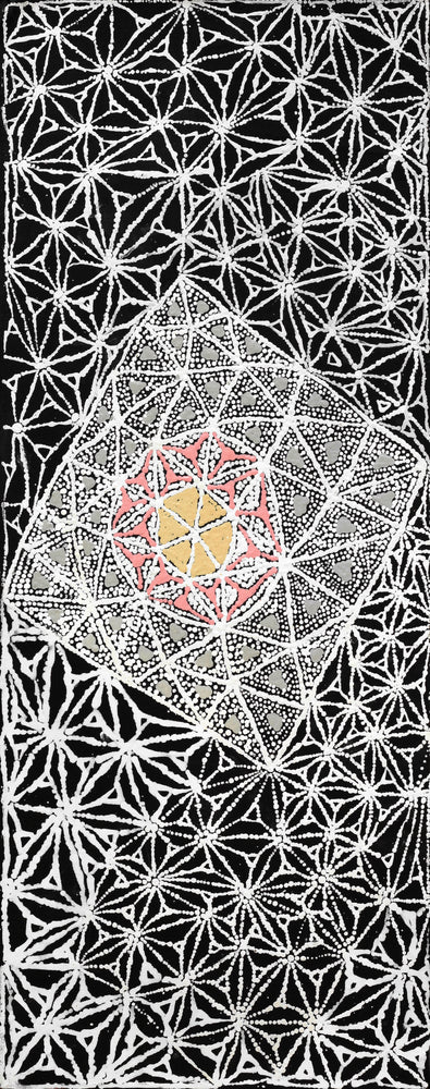 Aboriginal Artwork by Hilda Nakamarra Rogers, Lukarrara Jukurrpa, 76x30cm