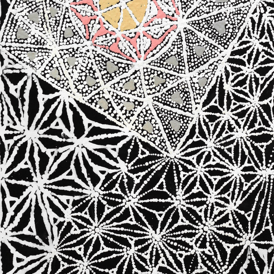 Aboriginal Artwork by Hilda Nakamarra Rogers, Lukarrara Jukurrpa, 76x30cm