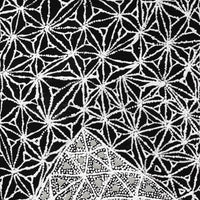 Aboriginal Artwork by Hilda Nakamarra Rogers, Lukarrara Jukurrpa, 76x30cm