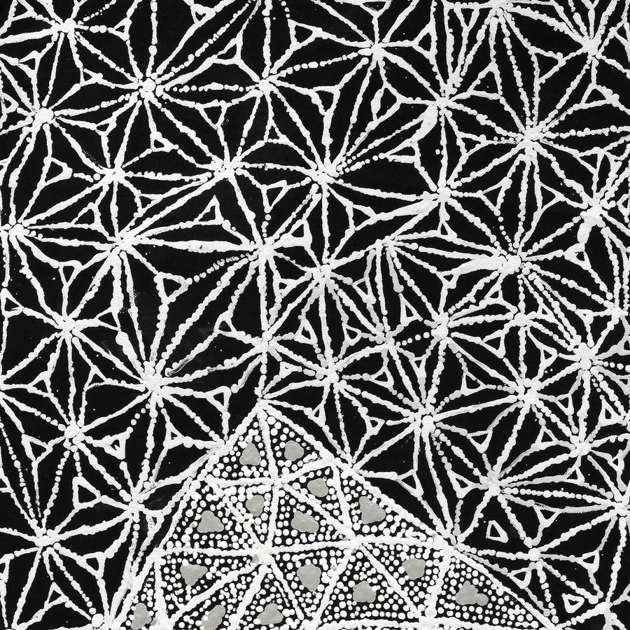 Aboriginal Artwork by Hilda Nakamarra Rogers, Lukarrara Jukurrpa, 76x30cm