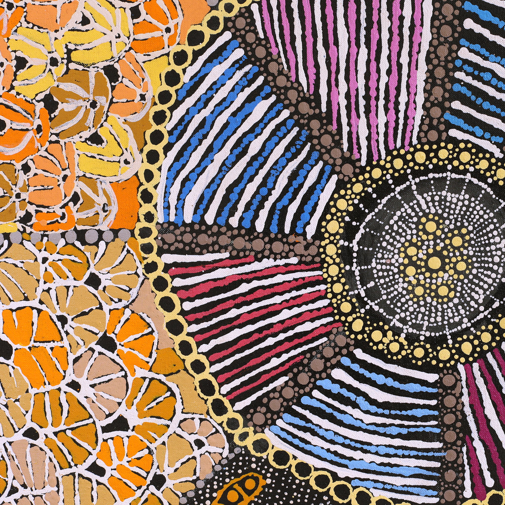 Aboriginal Artwork by Hilda Nakamarra Rogers, Lukarrara Jukurrpa (Desert Fringe-rush Seed Dreaming), 91x91cm