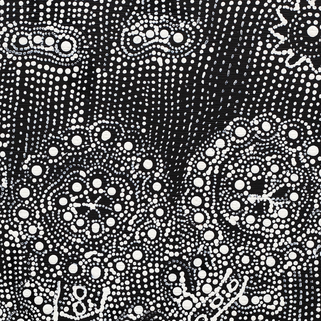 Aboriginal Artwork by Hilda Nakamarra Rogers, Lukarrara Jukurrpa, 30x30cm