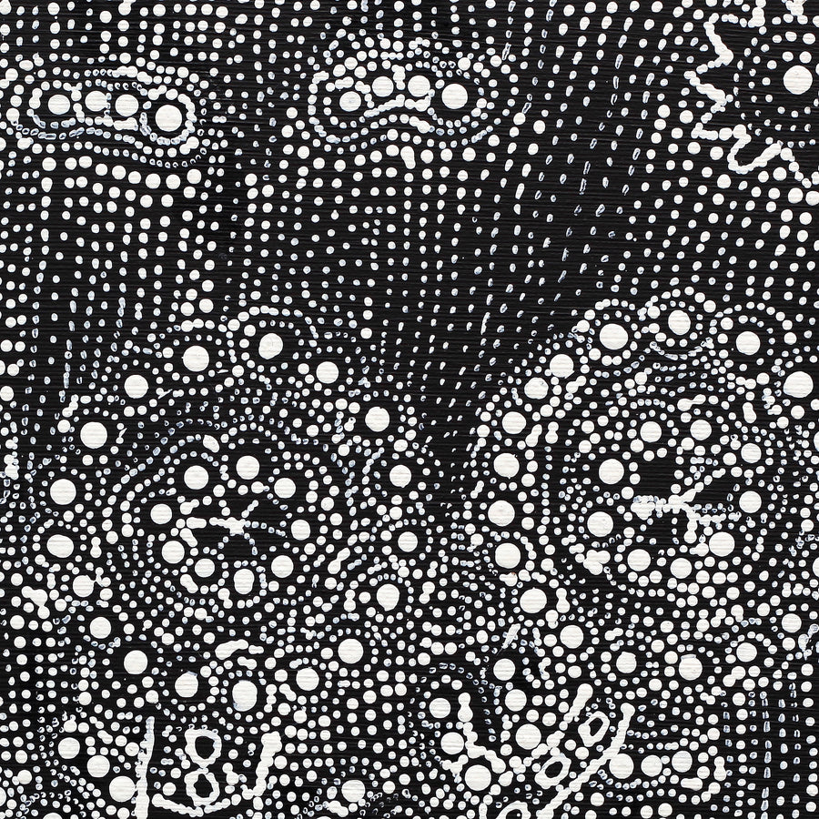 Aboriginal Artwork by Hilda Nakamarra Rogers, Lukarrara Jukurrpa, 30x30cm