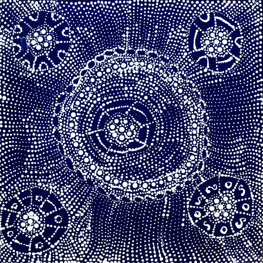 Aboriginal Artwork by Hilda Nakamarra Rogers, Lukarrara Jukurrpa, 30x30cm
