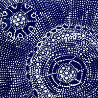 Aboriginal Artwork by Hilda Nakamarra Rogers, Lukarrara Jukurrpa, 30x30cm