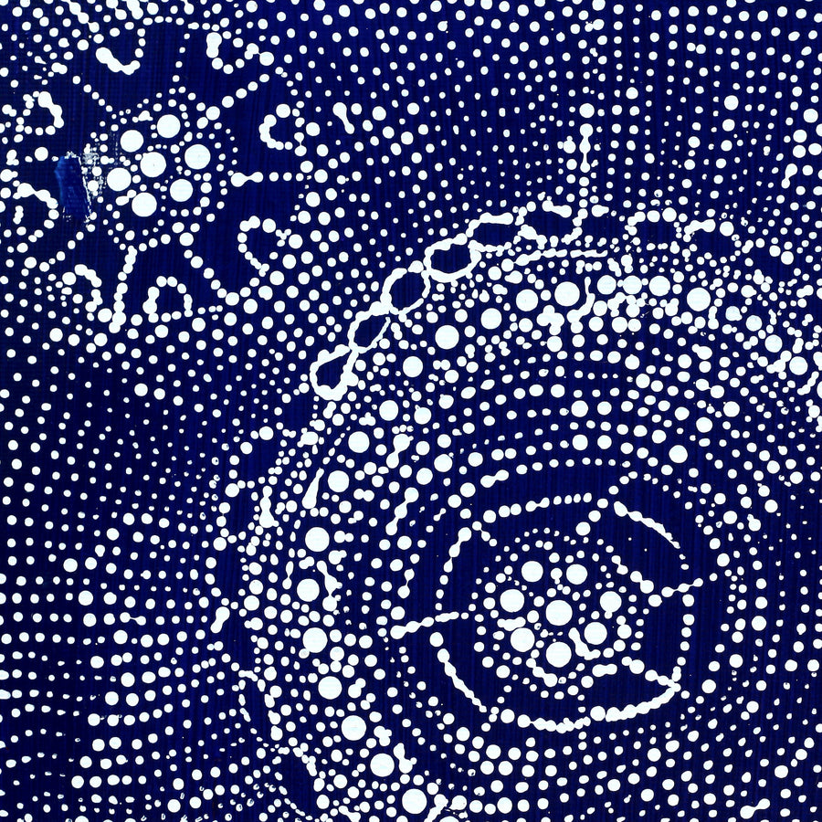 Aboriginal Artwork by Hilda Nakamarra Rogers, Lukarrara Jukurrpa, 30x30cm