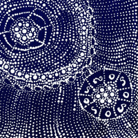 Aboriginal Artwork by Hilda Nakamarra Rogers, Lukarrara Jukurrpa, 30x30cm