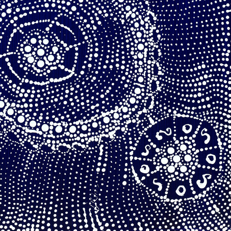 Aboriginal Artwork by Hilda Nakamarra Rogers, Lukarrara Jukurrpa, 30x30cm