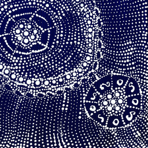 Aboriginal Artwork by Hilda Nakamarra Rogers, Lukarrara Jukurrpa, 30x30cm - ART ARK®