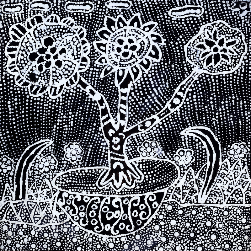 Aboriginal Artwork by Hilda Nakamarra Rogers, Lukarrara Jukurrpa, 30x30cm