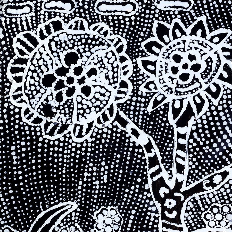 Aboriginal Artwork by Hilda Nakamarra Rogers, Lukarrara Jukurrpa, 30x30cm
