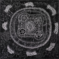 Aboriginal Artwork by Hilda Nakamarra Rogers, Lukarrara Jukurrpa, 61x61cm