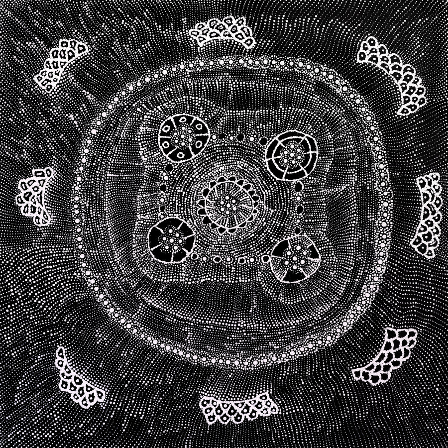 Aboriginal Artwork by Hilda Nakamarra Rogers, Lukarrara Jukurrpa, 61x61cm