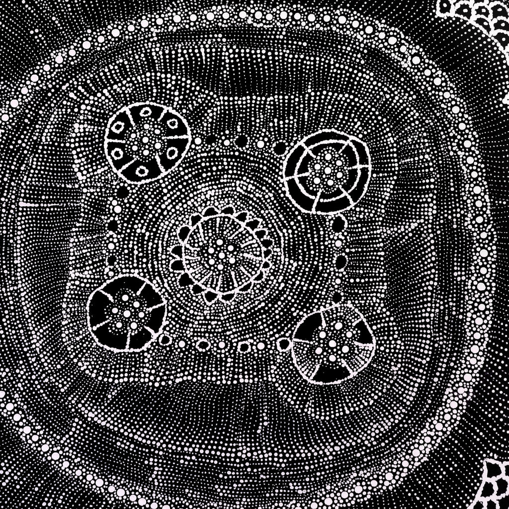 Aboriginal Artwork by Hilda Nakamarra Rogers, Lukarrara Jukurrpa, 61x61cm