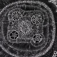 Aboriginal Artwork by Hilda Nakamarra Rogers, Lukarrara Jukurrpa, 61x61cm