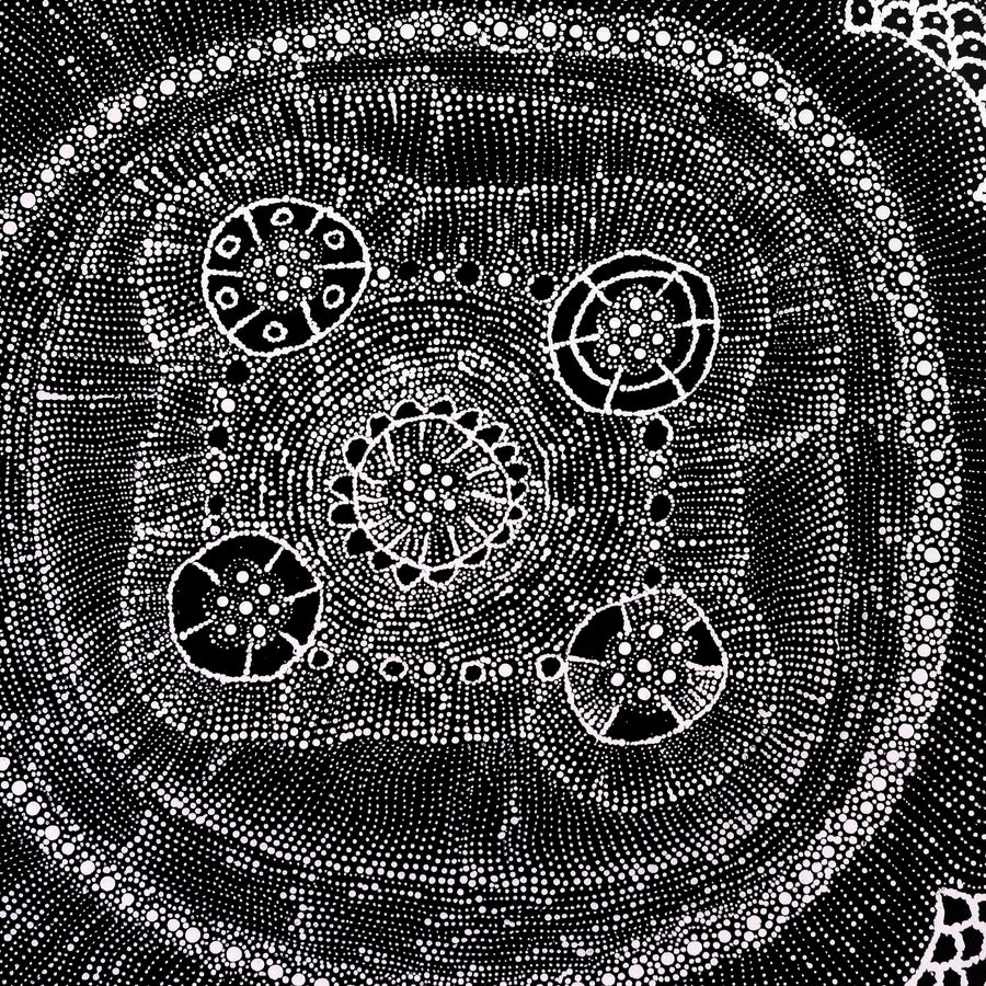 Aboriginal Artwork by Hilda Nakamarra Rogers, Lukarrara Jukurrpa, 61x61cm