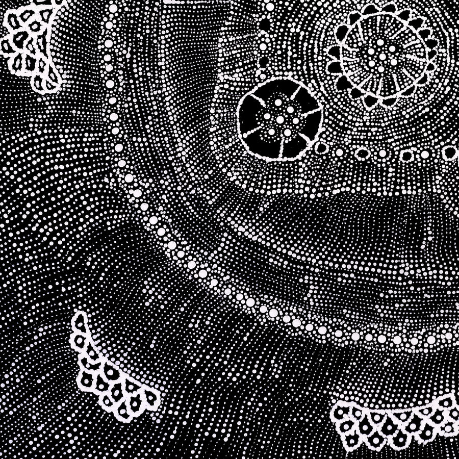 Aboriginal Artwork by Hilda Nakamarra Rogers, Lukarrara Jukurrpa, 61x61cm