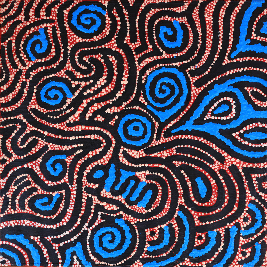 Aboriginal Artwork by Kirsty Anne Napanangka Brown, Mina Mina Jukurrpa - Ngalyipi, 30x30cm