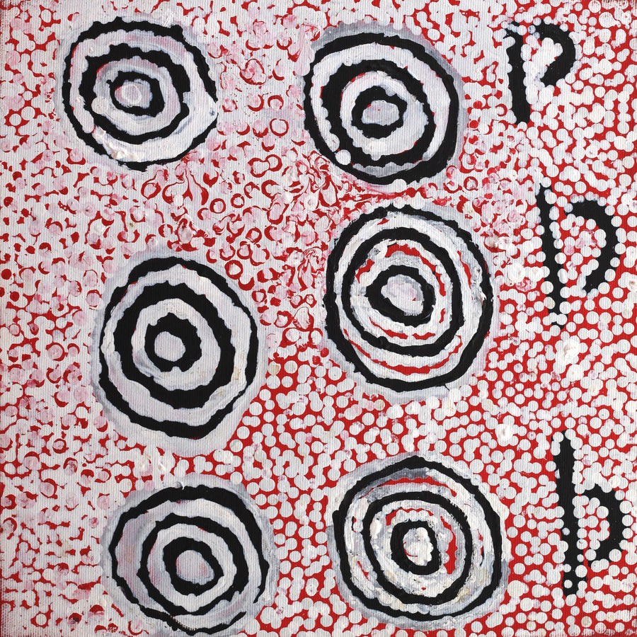 Aboriginal Artwork by Mickey Jampijinpa Singleton, Ngapa Jukurrpa (Water Dreaming) - Puyurru, 30x30cm