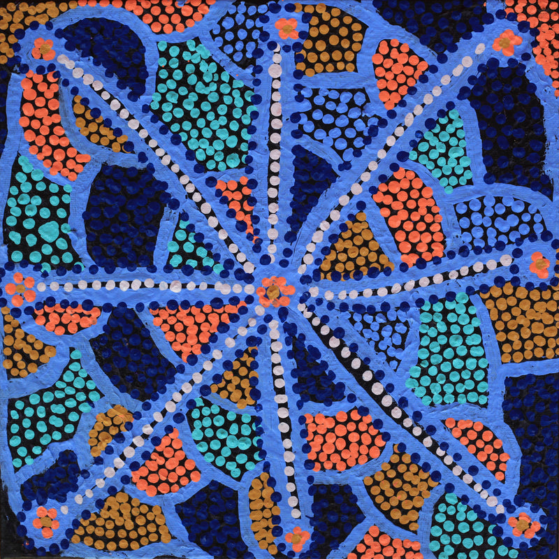 Aboriginal Artwork by Helen Nampijinpa Robertson, Ngapa Jukurrpa - Puyurru, 30x30cm