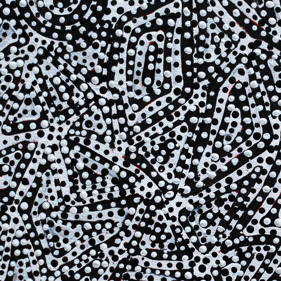 Aboriginal Artwork by Pauline Napangardi Gallagher, Mina Mina Jukurrpa, 61x46cm
