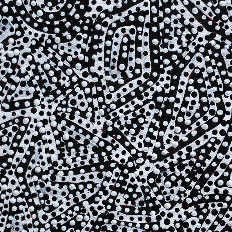 Aboriginal Artwork by Pauline Napangardi Gallagher, Mina Mina Jukurrpa, 61x46cm